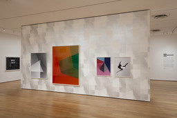 Installation photo, 13 of 14