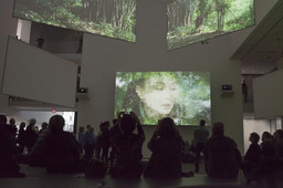 Installation photo, 16 of 25