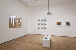 Installation photo, 6 of 32