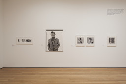 Installation photo, 20 of 46