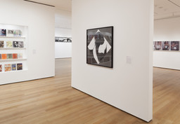 Installation photo, 22 of 31