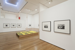 Installation photo, 30 of 72