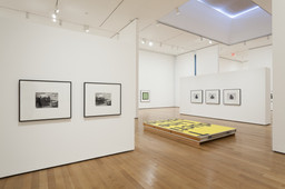 Installation photo, 38 of 72