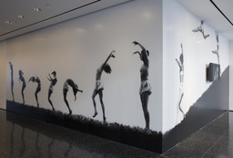 Installation photo, 3 of 16