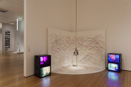 Installation photo, 50 of 86