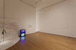 Installation photo, 51 of 86