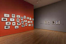 Installation photo, 40 of 66