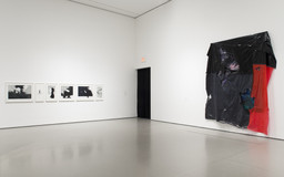 Installation photo, 65 of 69