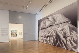Installation photo, 1 of 61