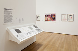 Installation photo, 14 of 61