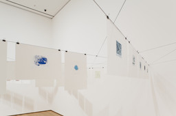 Installation photo, 18 of 61