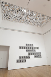 Installation photo, 23 of 61