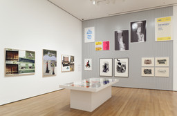 Installation photo, 38 of 61