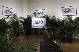 Installation photo, 48 of 123