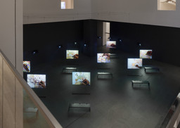 Installation photo, 8 of 12