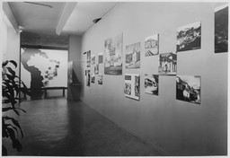 Installation photo, 3 of 8