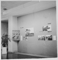 Installation photo, 7 of 7
