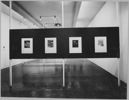 Installation photo, 5 of 7