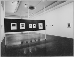 Installation photo, 6 of 7