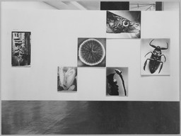 Installation photo, 12 of 28