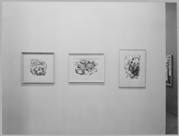 Installation photo, 16 of 23