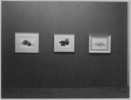 Installation photo, 22 of 23