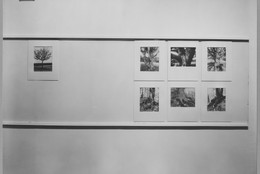 The Museum of Modern Art Archives, New York