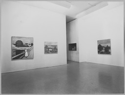 Installation photo, 7 of 14