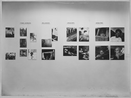 Installation photo, 6 of 17