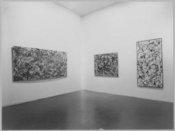 Installation photo, 6 of 14
