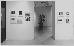 Installation photo, 32 of 53