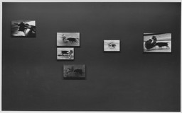 Installation photo, 6 of 15