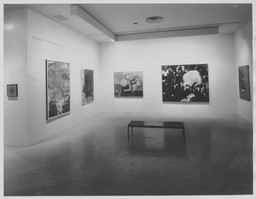 Installation photo, 7 of 17