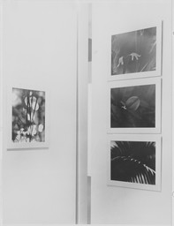 Installation photo, 33 of 34