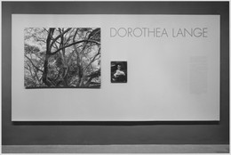 The Museum of Modern Art Archives, New York