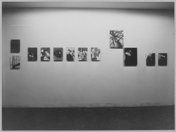 Installation photo, 10 of 12