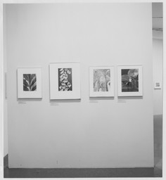 Installation photo, 15 of 22