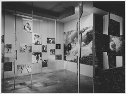 Installation photo, 22 of 90