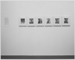 Installation photo, 5 of 6