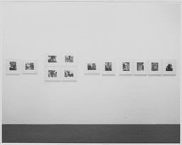Installation photo, 6 of 6