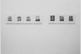 The Museum of Modern Art Archives, New York