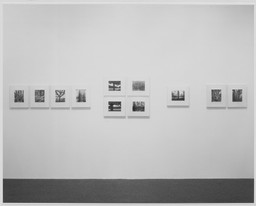 Installation photo, 3 of 6
