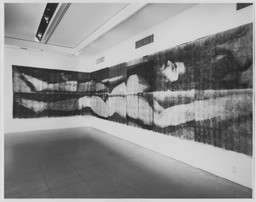 Installation photo, 6 of 7