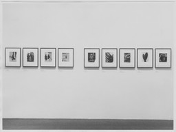 Installation photo, 5 of 5