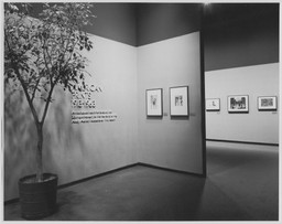 Installation photo, 1 of 15