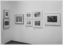 Installation photo, 20 of 21