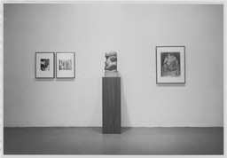 Installation photo, 1 of 52