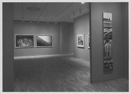 Installation photo, 8 of 13