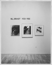 Installation photo, 1 of 1