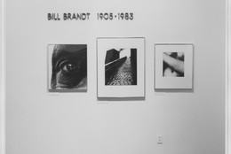 The Museum of Modern Art Archives, New York